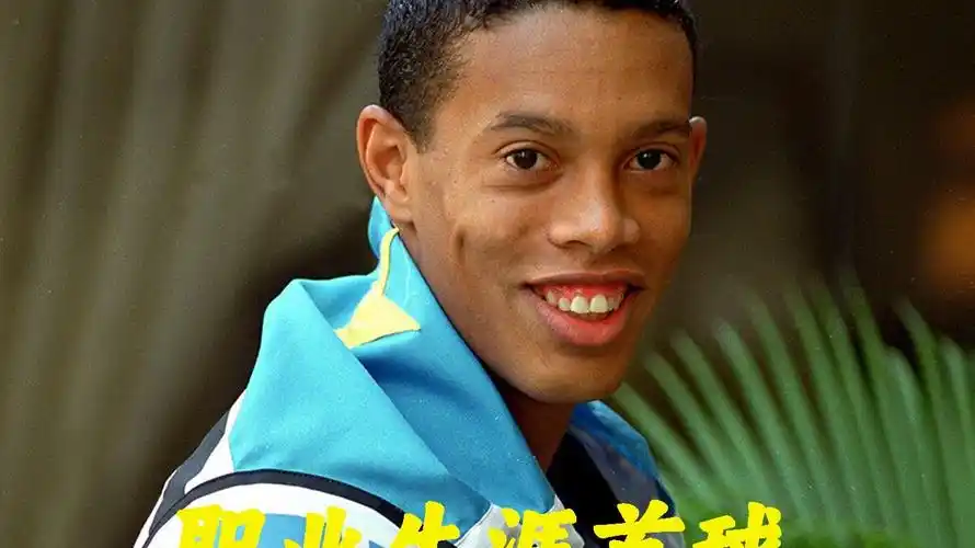 米内罗个人